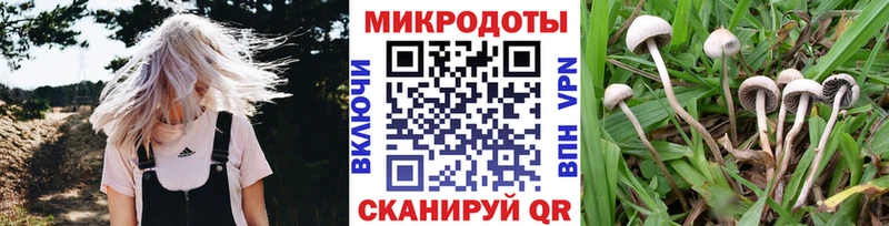 Купить  Чистополь  Галлюциногенные грибы GOLDEN TEACHER 